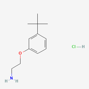 Struktur - 1-(2-Aminoethoxy)-3-tert-butylbenzene hydrochloride