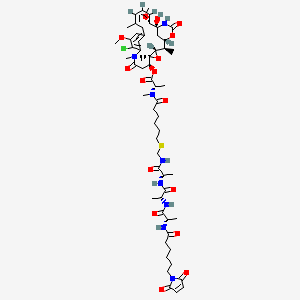 Structure - DM21