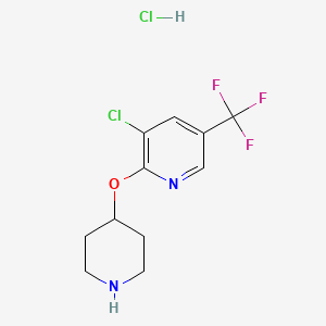 Structure - 3-Chloro-2-(piperidin-4-yloxy)-5-(trifluoromethyl)pyridine hydrochloride, 95%