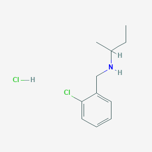 Structure - (Butan-2-yl)[(2-chlorophenyl)methyl]amine hydrochloride, N-(2-Chlorobenzyl)-2-butanamine hydrochloride