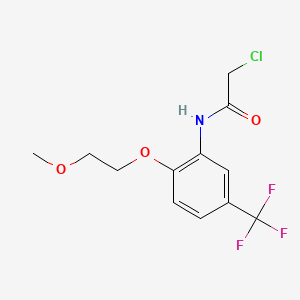 Structure - 2-Chloro-N-[2-(2-methoxyethoxy)-5-(trifluoromethyl)phenyl]acetamide