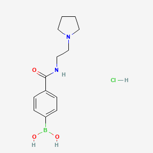 Structure - (4-((2-(Pyrrolidin-1-yl)ethyl)carbamoyl)phenyl)boronic acid hydrochloride, 4-(2-(Pyrrolidin-1-yl)ethylcarbamoyl)phenylboronic acid, HCl