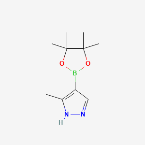 Struktura - 3-Methylpyrazole-4-boronic Acid Pinacol Ester, 97%